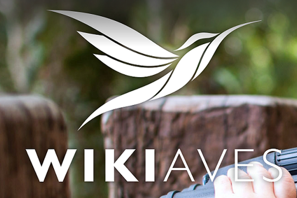 image for WikiAves