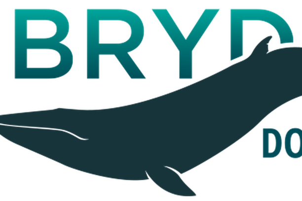 image for Brydes do Brasil
