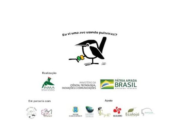 image for Eu vi uma ave usando pulseiras!?