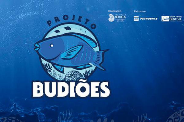 image for Projeto Budiões