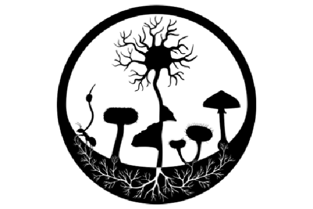 image for MIND.Funga - Ciência Cidadã
